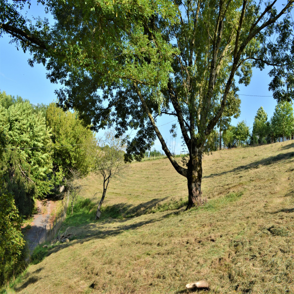 Offres de vente Terrain Bardos 64520
